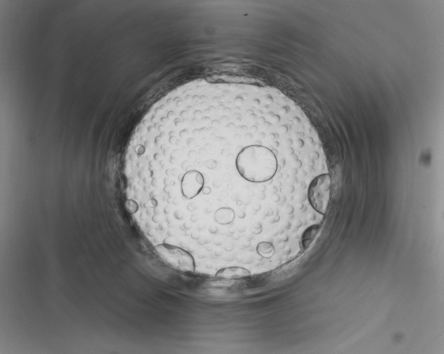 X0000116270178201001111022