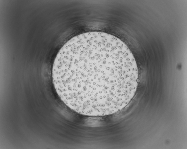X0000116270179201001111022