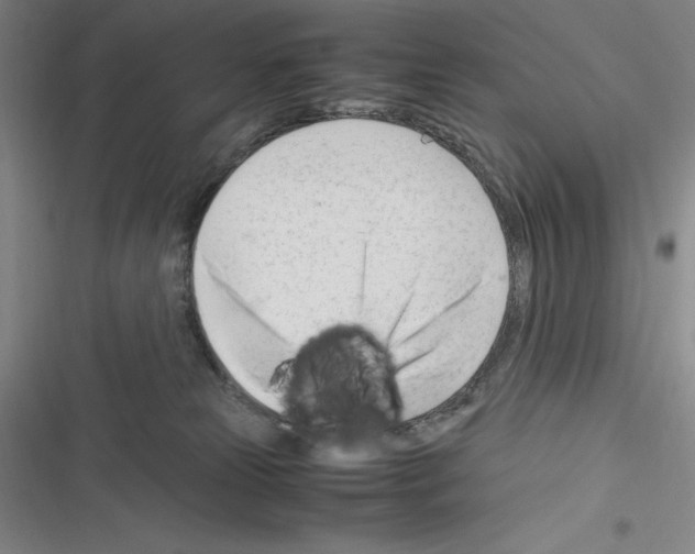 X0000116270181201001111022