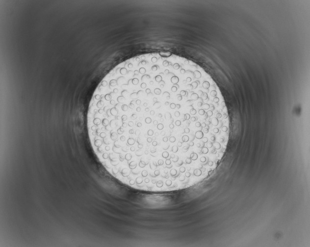 X0000116270183201001111022