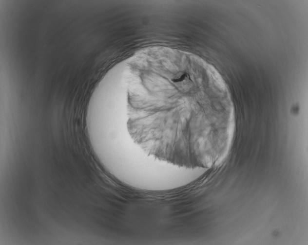 X0000116270185201001111022