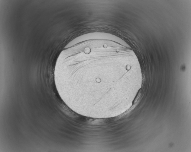 X0000116270186201001111022