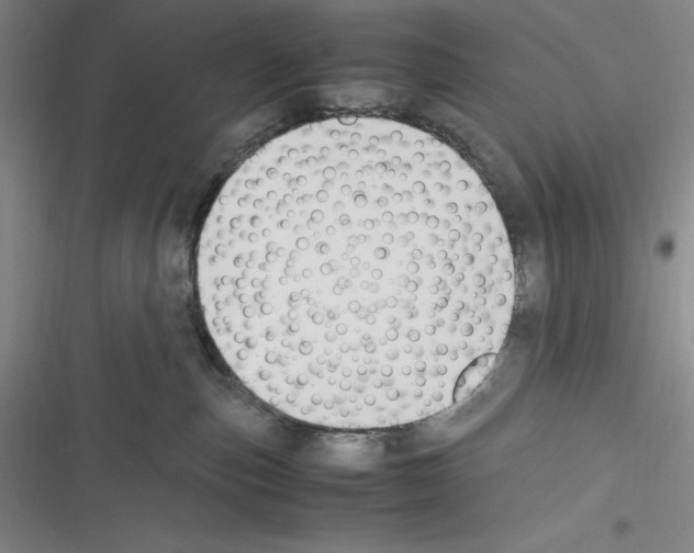 X0000116270187201001111022