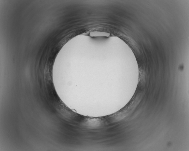 X0000116270189201001111022
