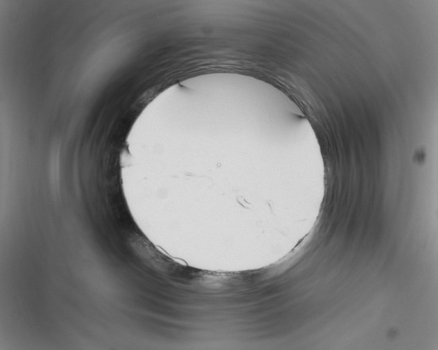 X0000116270190201001111022