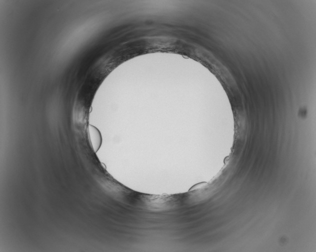 X0000116270191201001111022