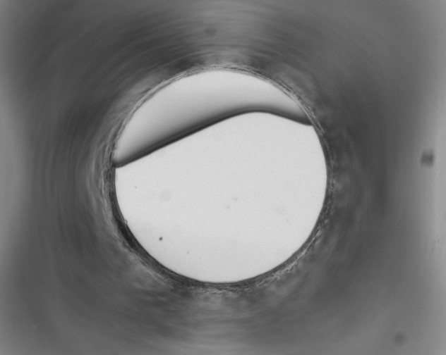 X0000116270193201001111021