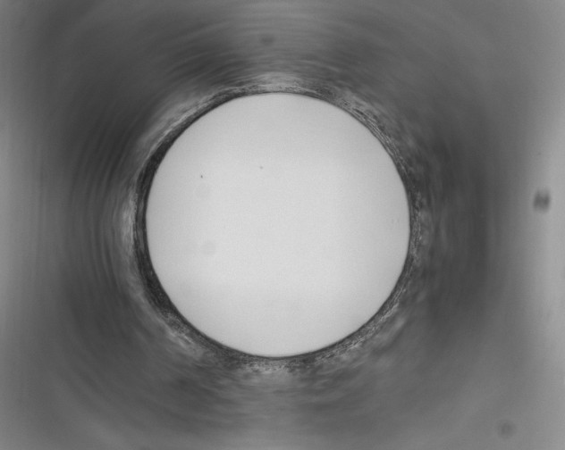 X0000116270194201001111021