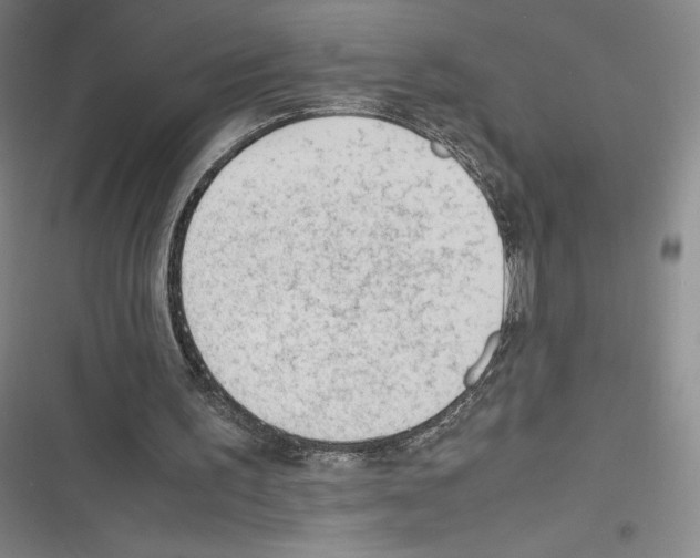X0000116270195201001111021