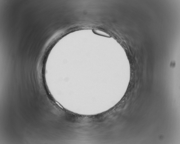 X0000116270197201001111021