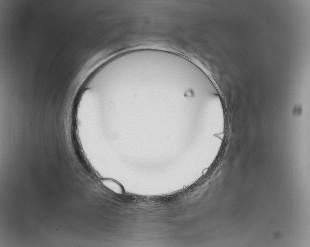 X0000116270199201001111021