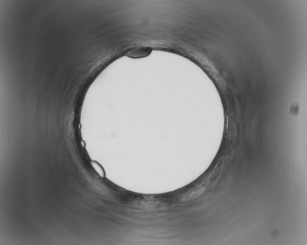 X0000116270201201001111021