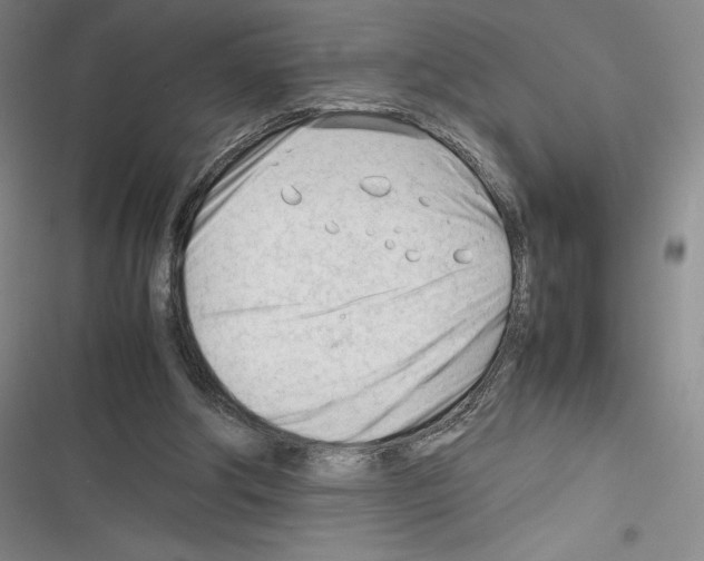 X0000116270202201001111021