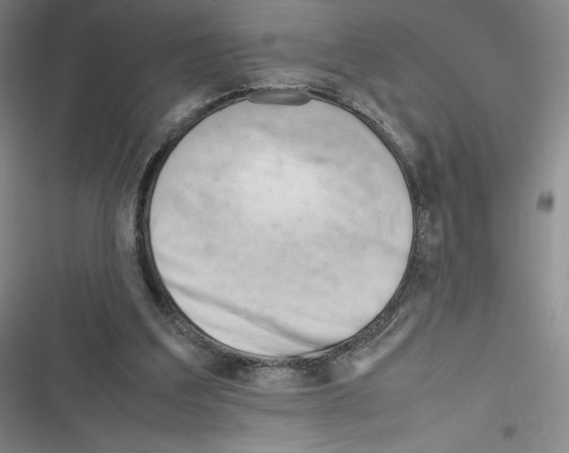 X0000116270203201001111021