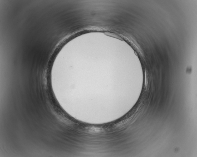X0000116270204201001111021