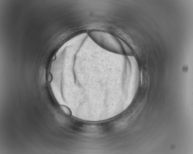 X0000116270205201001111021