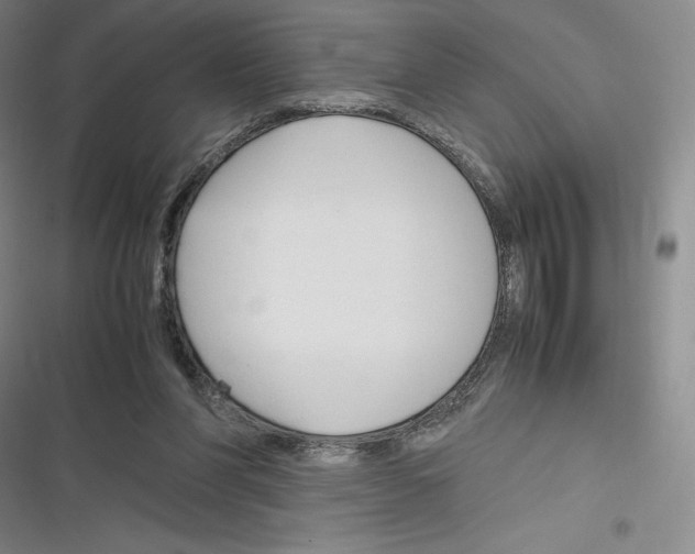 X0000116270206201001111021
