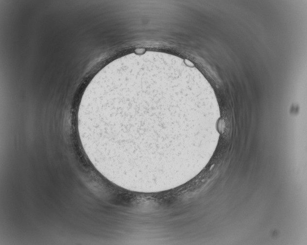 X0000116270207201001111021