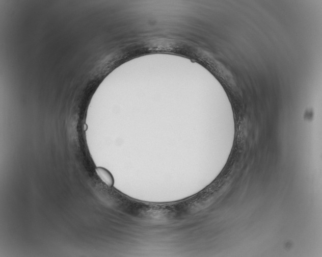X0000116270209201001111021