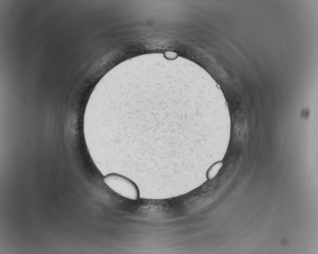 X0000116270211201001111021