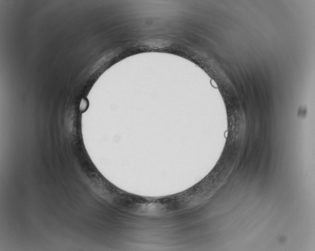 X0000116270212201001111021