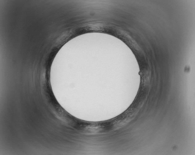 X0000116270213201001111021