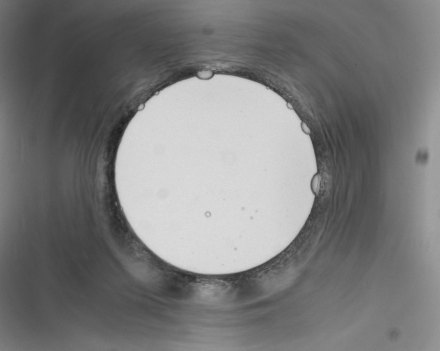 X0000116270215201001111021