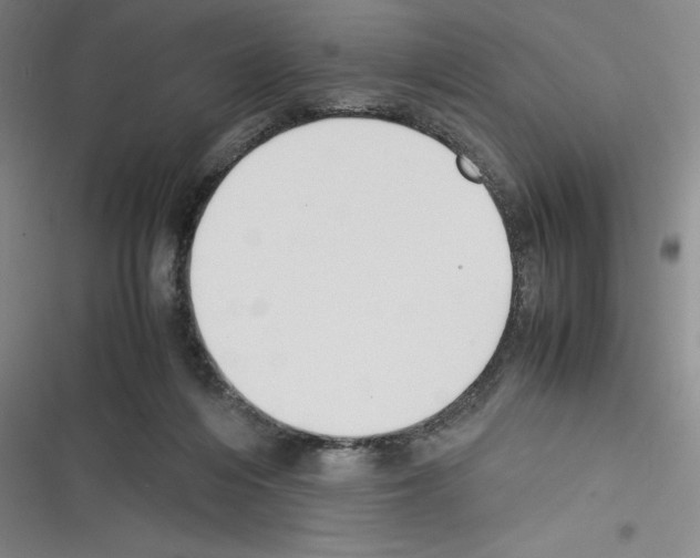 X0000116270216201001111021
