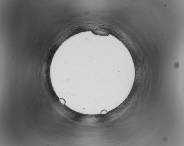 X0000116270217201001111021
