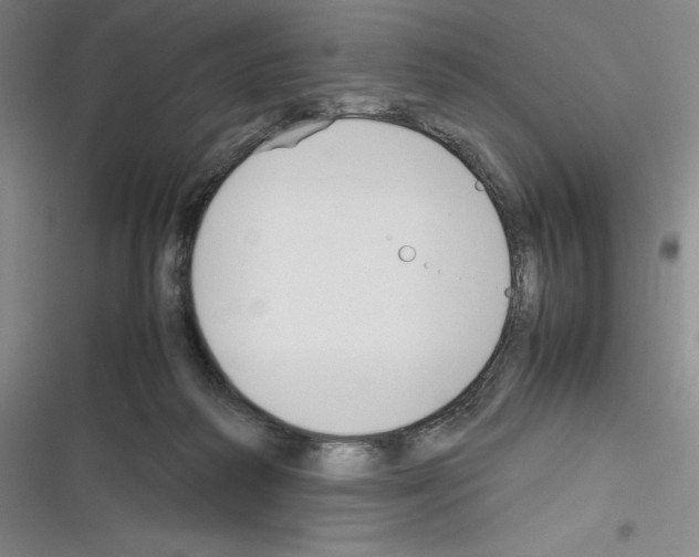 X0000116270218201001111021