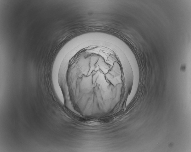 X0000116270219201001111021
