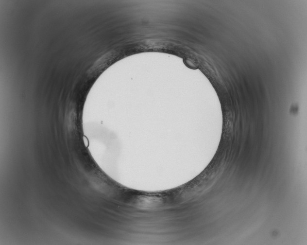 X0000116270220201001111021