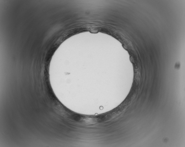 X0000116270221201001111021