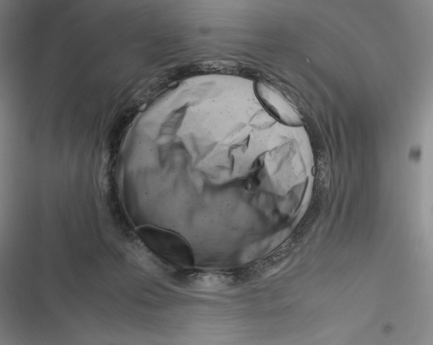 X0000116270223201001111021
