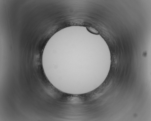 X0000116270224201001111021