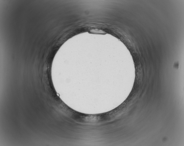X0000116270225201001111021