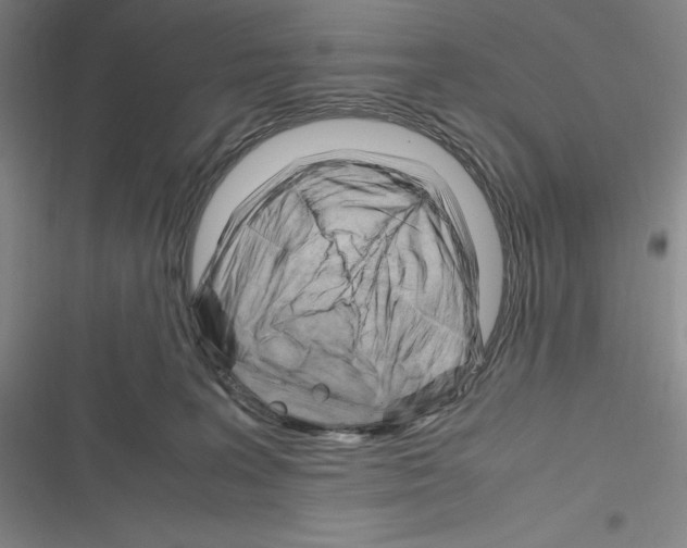 X0000116270227201001111021