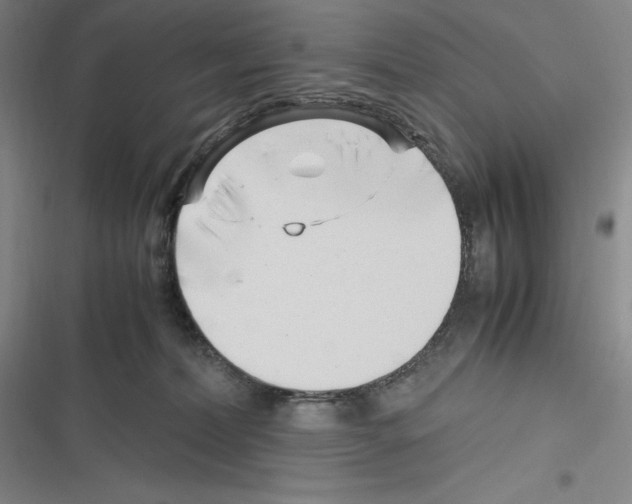 X0000116270228201001111021