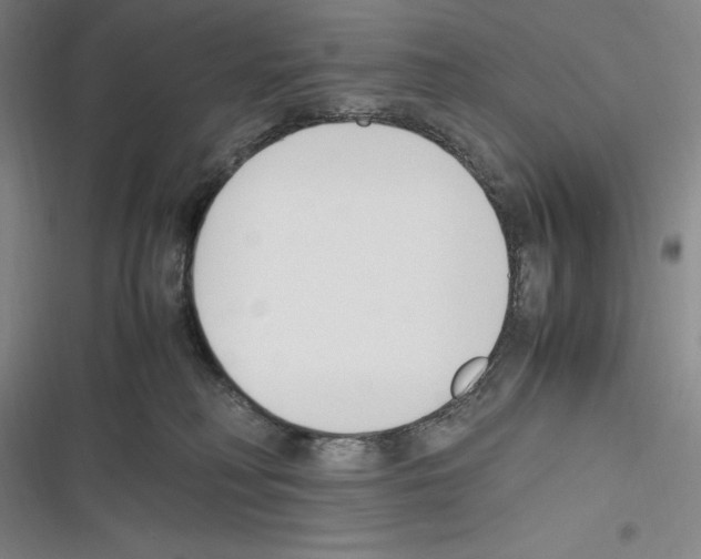 X0000116270230201001111021