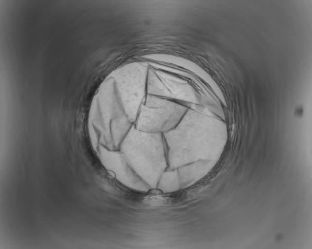 X0000116270231201001111021