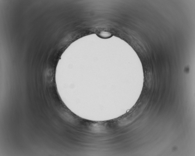 X0000116270232201001111021