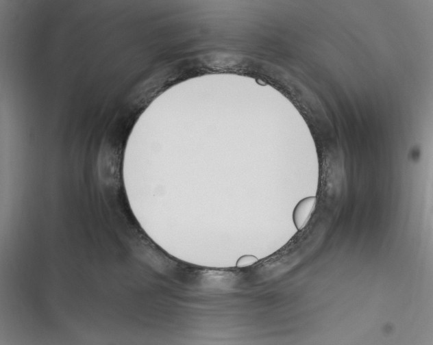 X0000116270234201001111021