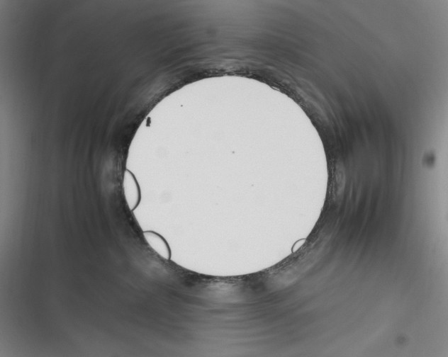 X0000116270236201001111021