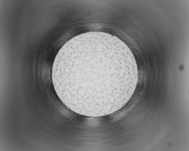 X0000116270238201001111021