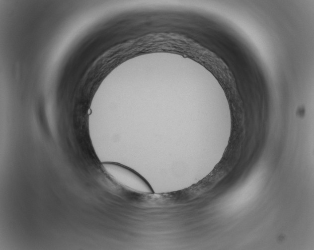 X0000116270239201001111021