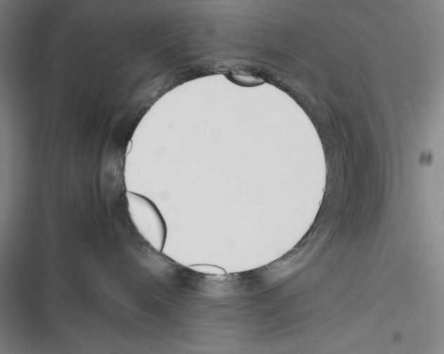X0000116270240201001111021