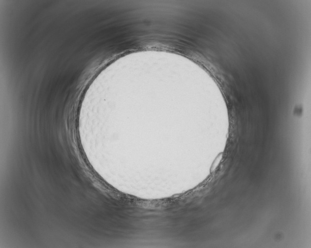 X0000116270241201001111020