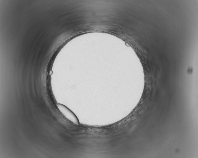 X0000116270242201001111020