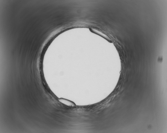 X0000116270244201001111020