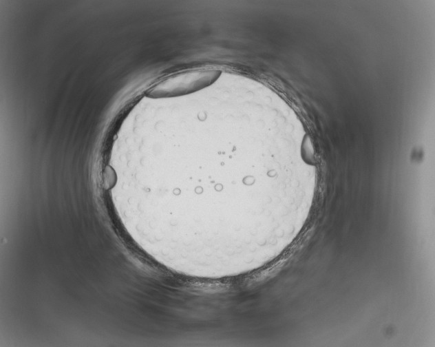 X0000116270245201001111020